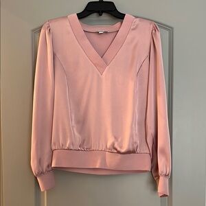 Express Blush V-Neck Blouse